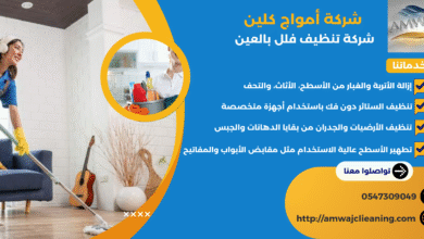شركة تنظيف فلل العين